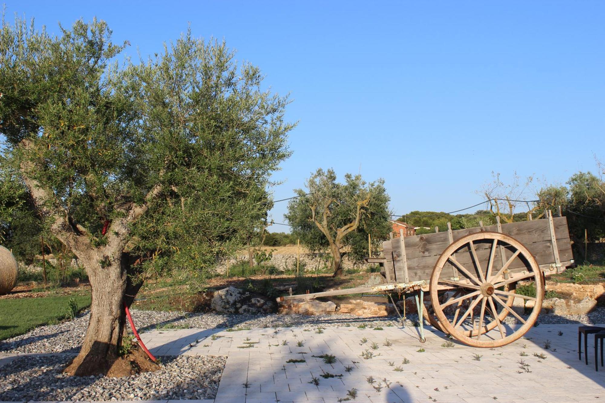 Masseria Stella ジョーイア・デル・コッレ エクステリア 写真