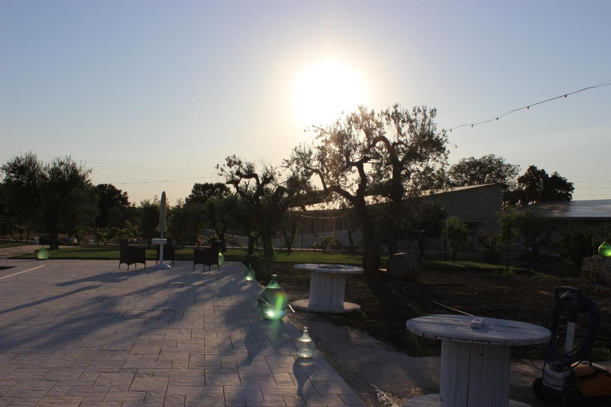 Masseria Stella ジョーイア・デル・コッレ エクステリア 写真
